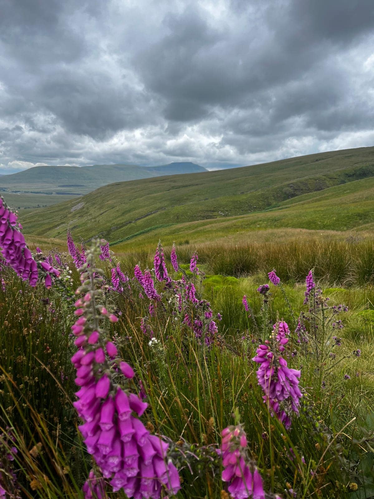 Yorkshire Three Peaks September 2026 – VIP