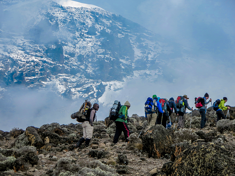 Kilimanjaro